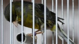 Perdonar para ser libres